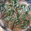 부안남초병설유치원 이미지