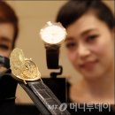 금화로 머니투데이