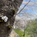 어린이공원12호(산림조합) | [우쥬 WOODS-YOU] 25년 4월호