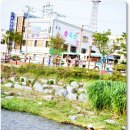 자연쉼터 이미지