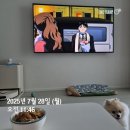 조마루로297번길·부흥로315번길 | [일상생각] 07.28 ~ 08.03 주간일상입니듀아아