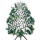 막곡리 복주병원 이미지