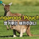 즐거운 영어동화(A) 이미지