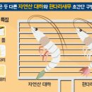 신황금어장 이미지