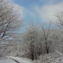 강동-길동-2770 이미지