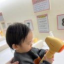 건영스파 | 노원 베베쿠아 베이비스파; 아기 수영장 후기