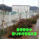 꽃과나무조경