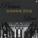 논현2동-8 이미지