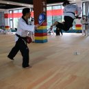 용인대태권박사스쿨 이미지