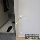 진모루현대아파트(28083) | 찢어진벽지 이렇게 해결하세요! 벽지 보수 작업의 모든 것