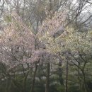 서곶공원 이미지