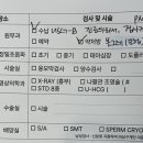 다 폴다