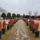 미광목장 | 예산 아그로랜드 태신목장/당진 아미미술관/미광다방