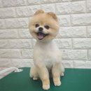 강사모백화점 이미지