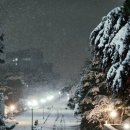 K.H.행정사사무소 이미지