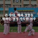 시리우스 시범 태권도장 이미지
