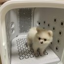 베스트드라이 이미지