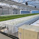 사례농장 이미지