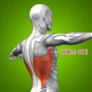 믹스짐 분당구미점 이미지