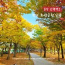 숯내공원 화장실 | 판교 화랑공원 단풍 현황 분당 애견 산책 코스 주차 총정리