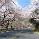 천지세탁 이미지