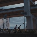 해피파동