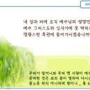 일일예화말씀묵상 2022년 11월 9일 (수) - 불신자들의 최후 이미지