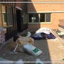 배곧고등학교 이미지