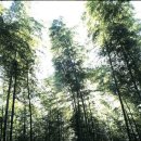 (신명약국앞) 이미지