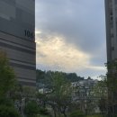 소윤조경 이미지