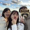 신흥목장2 이미지