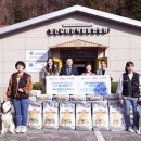 로얄애견 이미지