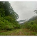 솔밭개울 이미지