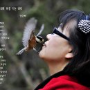 단혜