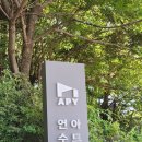 기획전시_사진집단기억 「신천은 흐른다」 | 인천 미술관 데이트 : 아트플러그 연수 기획전 <Match Box Edition 1. 2인조X> 관람 후기