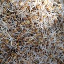 보리창고 이미지