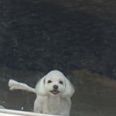 몽몽이발소 이미지