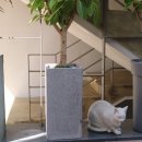 부산해운대1872팡시온 이미지