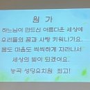 능곡성당유치원 이미지