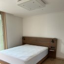 티스아트치과의원 | [Wedding💍] #4 침대 프레임 강추 : 한샘 유로503 아트월월넛🤎 구매후기 | 금성침대 헤스티스H