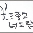 꽃도좋고너도좋고