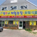 애니팜앵무새농장