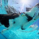 펫플래닛 이미지