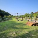 보은산V랜드 이미지