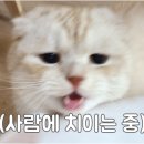 잇츠마이데이