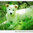 용지봉사계절 이미지