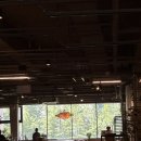 일송김밥 | 잘 먹었네ㅣ육회, 올그린스, 수연제, 비즈발 만들기, 참치마요 오이 김밥, 마라탕, 구운 삼겹살에 비빔냉면