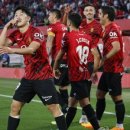 라이언 컴퍼니 이미지