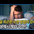 덜 피곤한 수면 방법이 있다? 생체 시계와 수면! 그리고 수학의 쓸모 (KAIST 김재경 교수) [수리생물학 3/3] 이미지