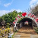 미로예술원주중앙시장(원주중앙시장) | 송이 용수골꽃양귀비축제,구룡사-왕의 나무 황장목숲길 산책,미로예술 원주중앙시장(5.25/연휴)여행 신청